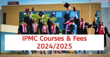 IMPC Courses and Fees 2024/2025