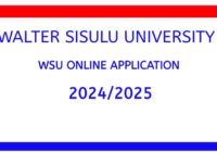 Explore - WSU Online Application 2024/2025