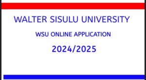 Explore - WSU Online Application 2024/2025