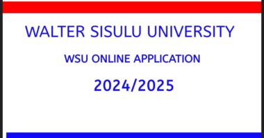 Explore - WSU Online Application 2024/2025